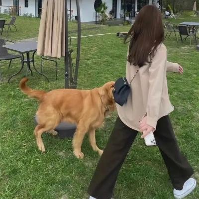 终结的感觉